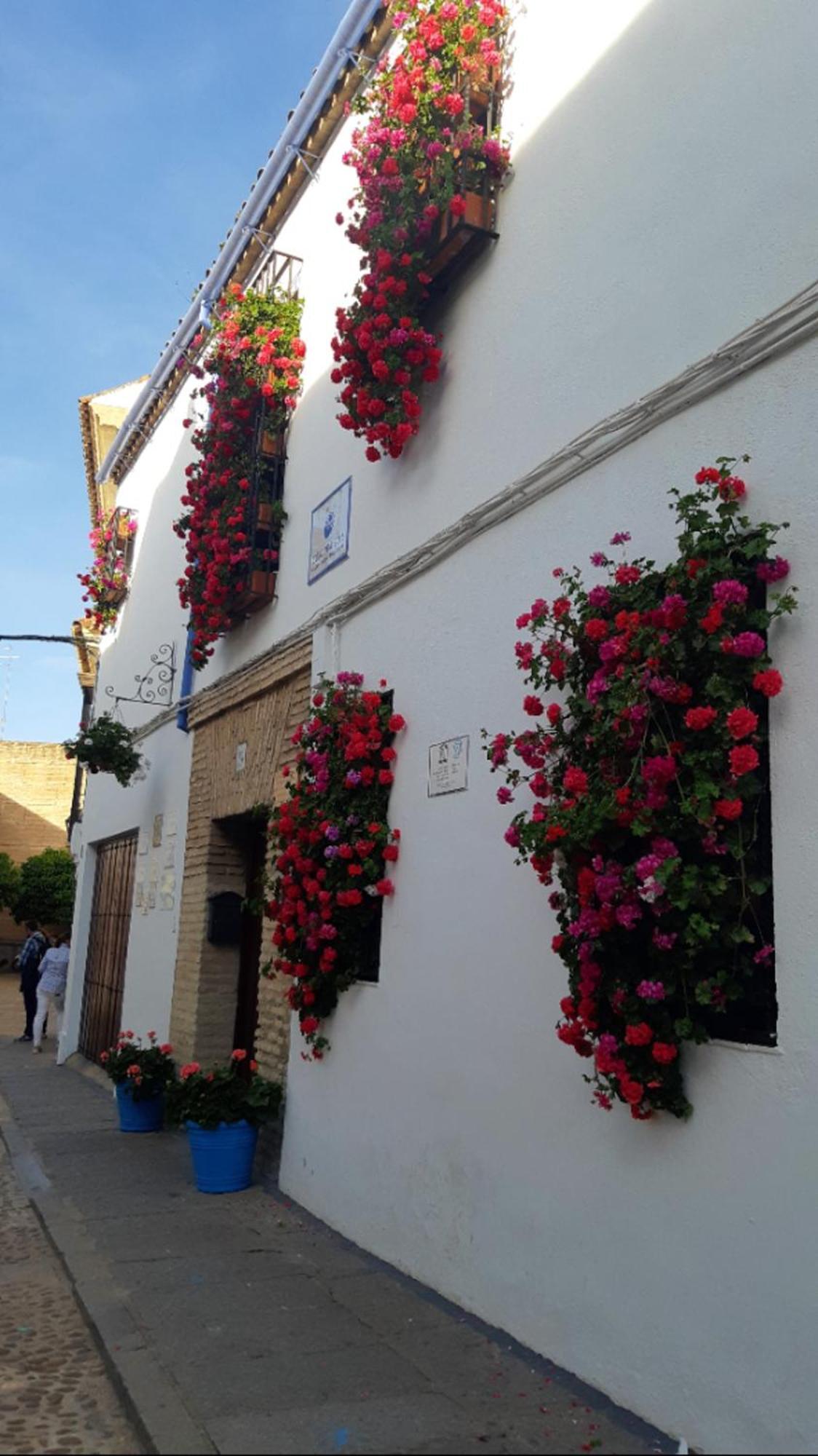 Apartamento En Barrio San Basilio Apartment Cordoba Luaran gambar
